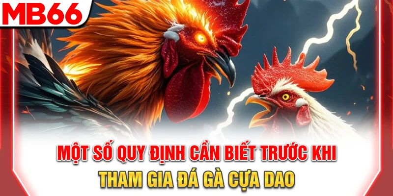 Luật Chơi Và Chiến Thuật Đá Gà Cựa Dao Chi Tiết 2025 8 Một số quy định cần biết trước khi tham gia đá gà cựa dao