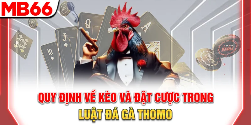 Quy định về kèo và đặt cược trong luật đá gà Thomo