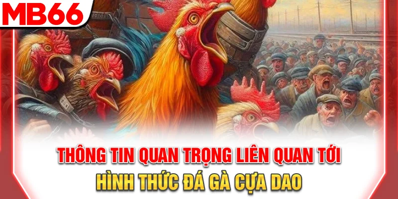 Luật Chơi Và Chiến Thuật Đá Gà Cựa Dao Chi Tiết 2025 7 Thông tin quan trọng liên quan tới hình thức đá gà cựa dao
